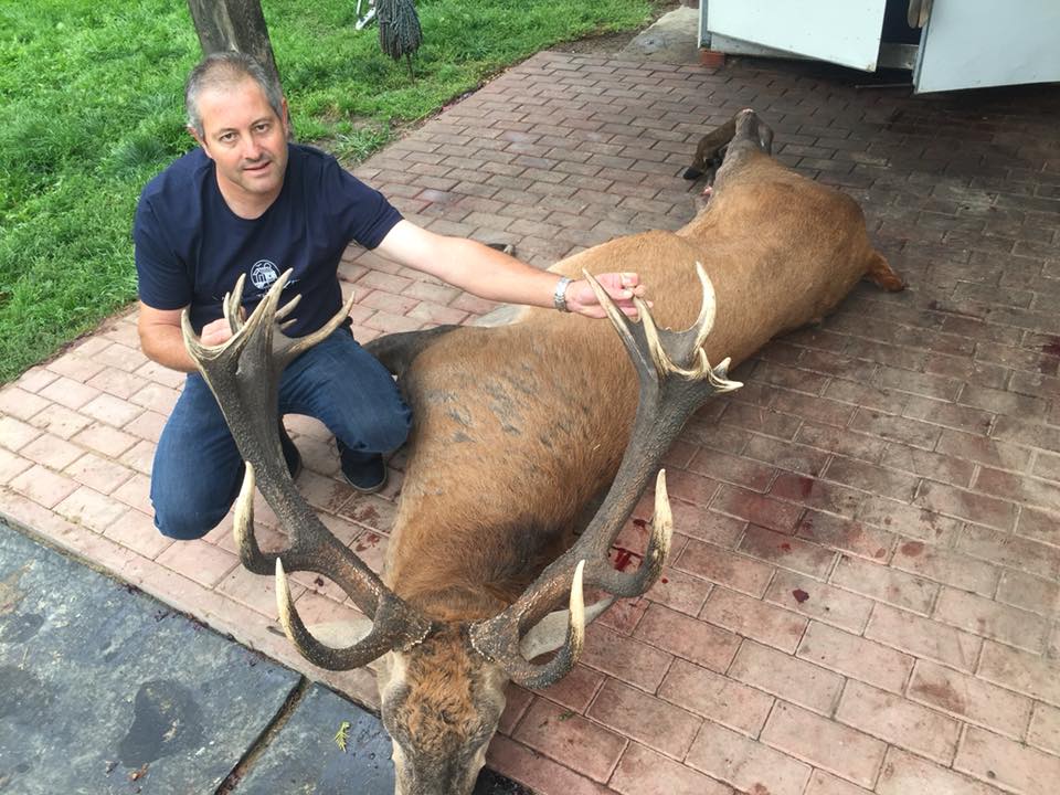 Stag 10kg shoot by French hunter